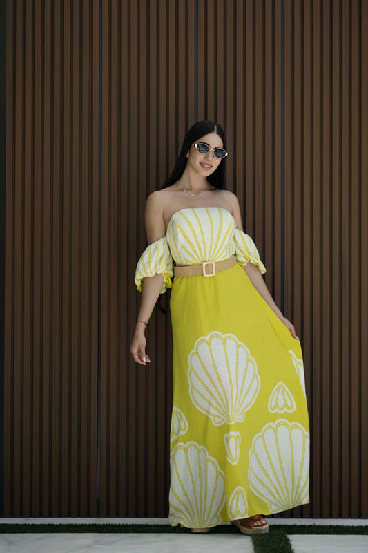 dress concha